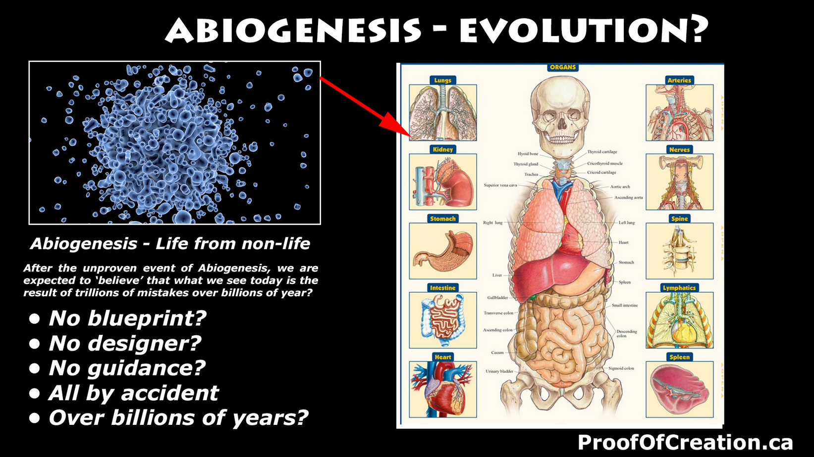 Abiogenesis