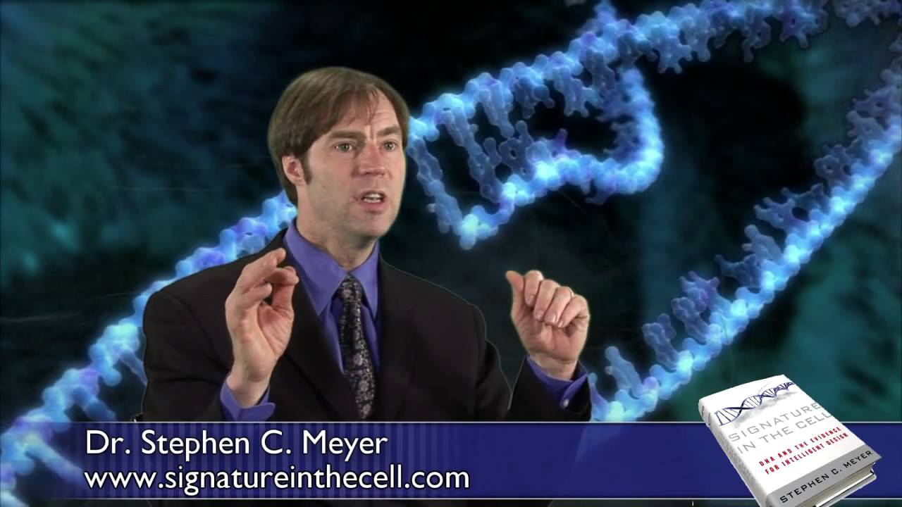 Stephen Meyer signature in the cell